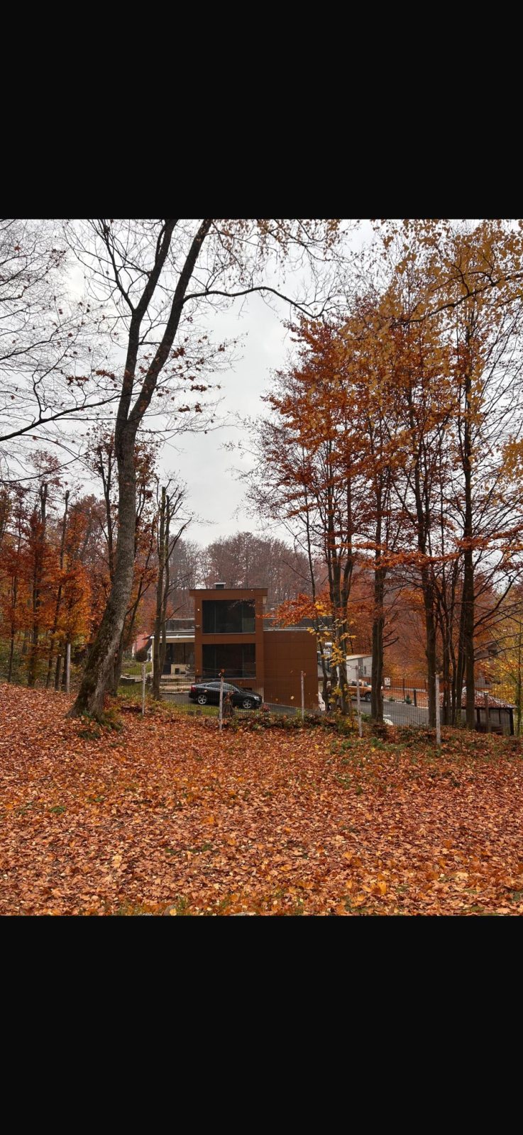 Cabana Lake Chalet Mogoșa